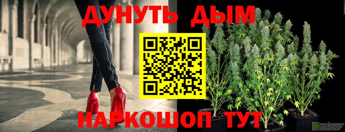 Бошки марихуана OG Kush Кудрово